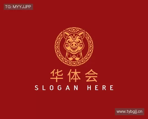 发现华体会网址